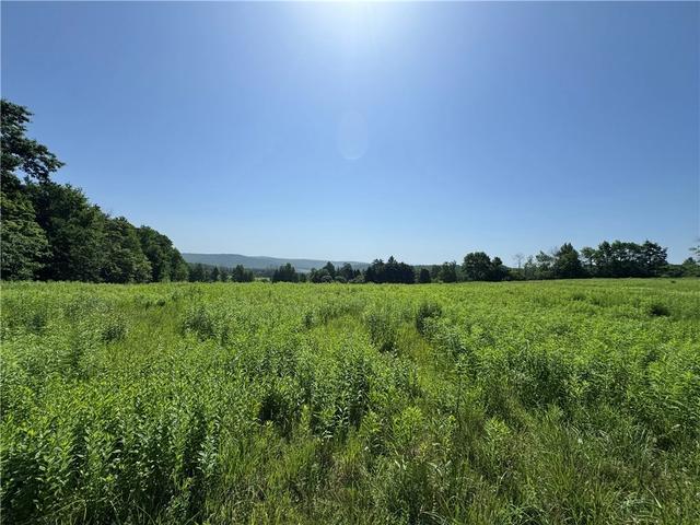 Wilbur Hill Road, Butternuts, NY 13776