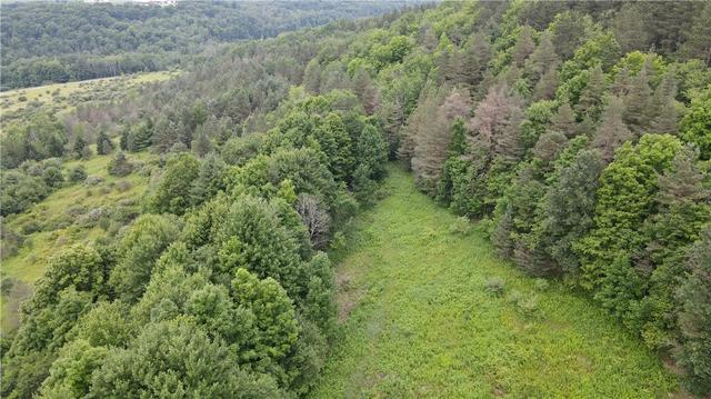 0 Hornell Reservoir Rd, Fremont, NY 14843
