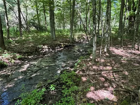 0 Cronin Rd, Westford, NY 12155 photo 3