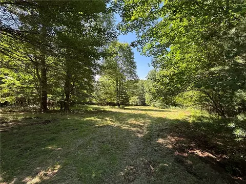 0 Cronin Rd, Westford, NY 12155 photo 10