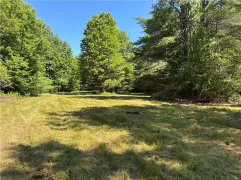 0 Cronin Rd, Westford, NY 12155 photo 13