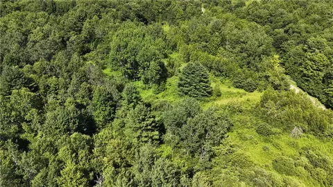 *rabbit Path, German, NY 13801 photo 22