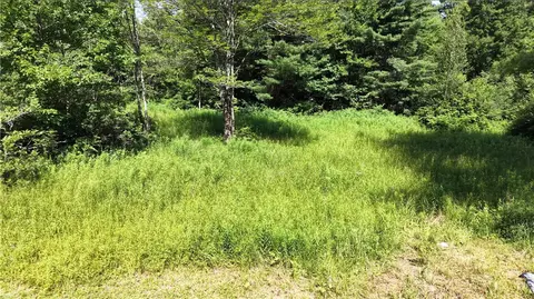 *rabbit Path, German, NY 13801 photo 19
