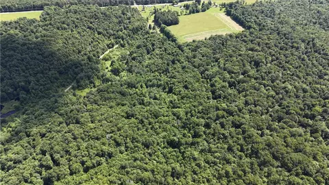 *rabbit Path, German, NY 13801 photo 14