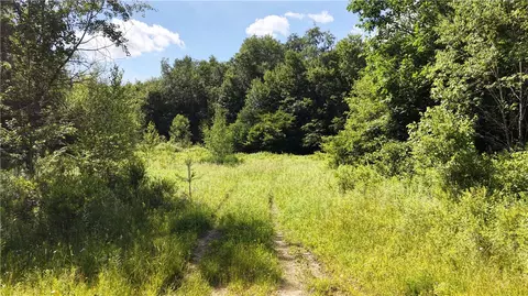 *rabbit Path, German, NY 13801 photo 26