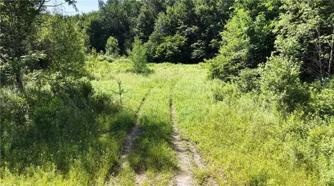 *rabbit Path, German, NY 13801 photo 20