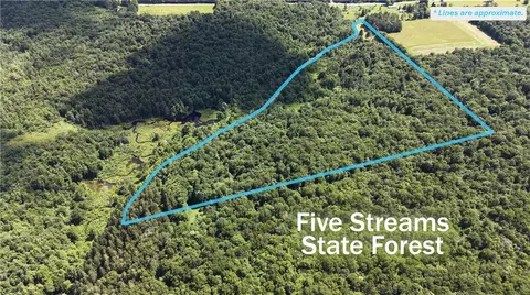 *rabbit Path, German, NY 13801