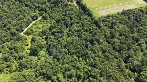 *rabbit Path, German, NY 13801 photo 17