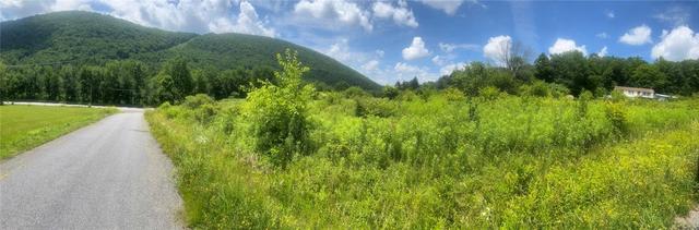 Bramley Mountain Road, Delhi, NY 13753