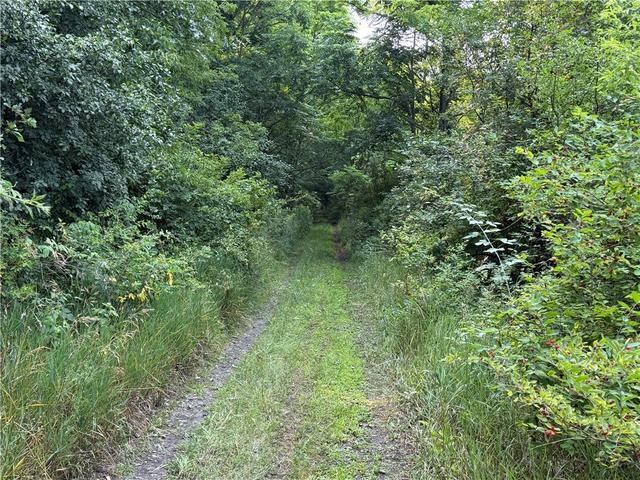 0 State Route 224, Catharine, NY 14869