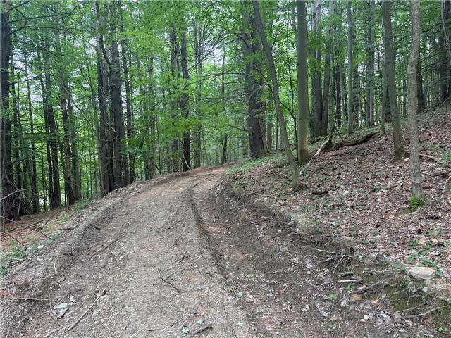 0 Ringwood Rd, Dryden, NY 13068
