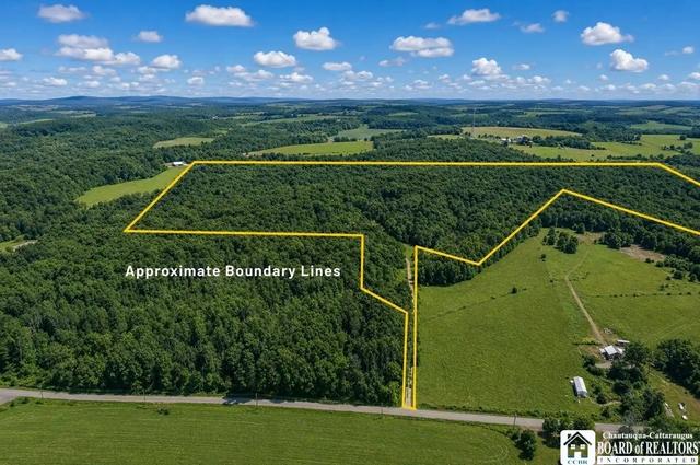 0 Leach Hill Rd, Ellington, NY 14747
