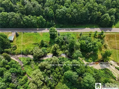 5406 Thornton Rd, Ellington, NY 14740
