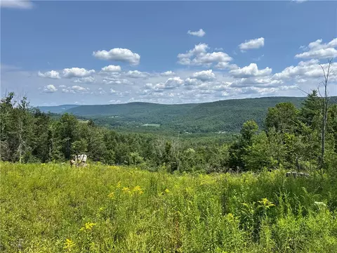 Jang Soo Way, Blenheim, NY 12131
