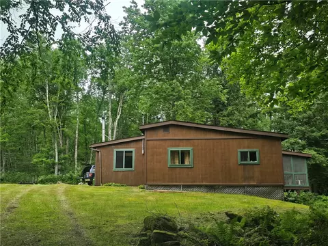 635 Balsam Tyler Rd, Pharsalia, NY 13801