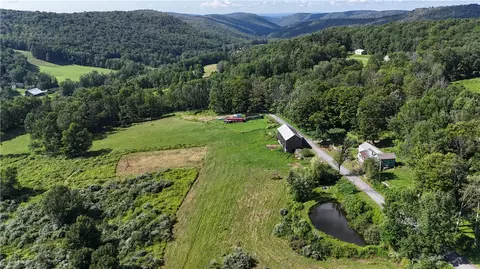 833 Biffar Rd, Long Eddy, NY 12760