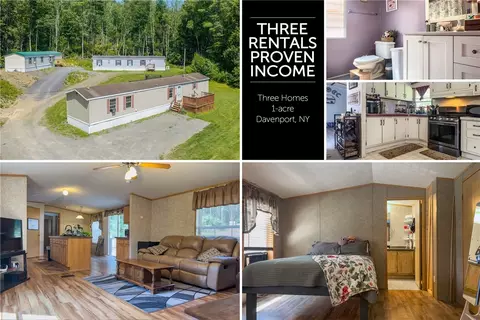 348 Vandeusen Rd, Davenport, NY 13750
