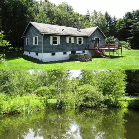 817 Munn Rd, Walton, NY 13856