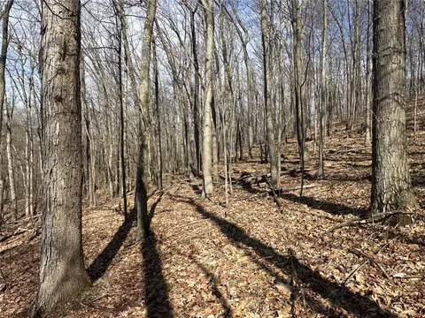 Exterior - 0 O Brien Rd N, Bath, NY 14879 photo 3 of 6