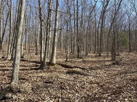 Other - 0 O Brien Rd N, Bath, NY 14879 photo 4 of 31