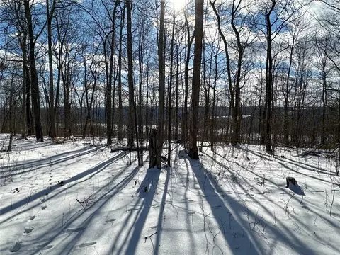 Other - 0 O Brien Rd N, Bath, NY 14879 photo 12 of 31