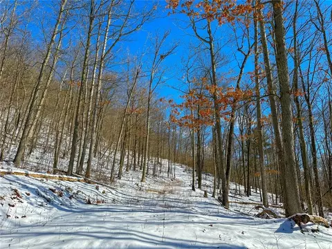 Other - 0 O Brien Rd N, Bath, NY 14879 photo 18 of 31