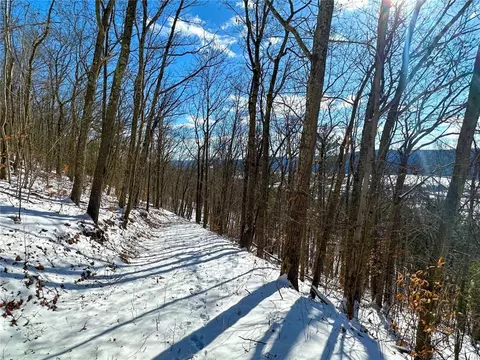 Other - 0 O Brien Rd N, Bath, NY 14879 photo 31 of 31
