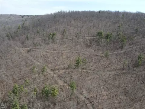 Other - 0 O Brien Rd N, Bath, NY 14879 photo 1 of 31