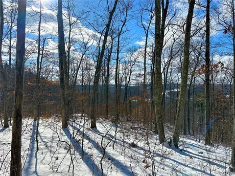 Other - 0 O Brien Rd N, Bath, NY 14879 photo 22 of 31