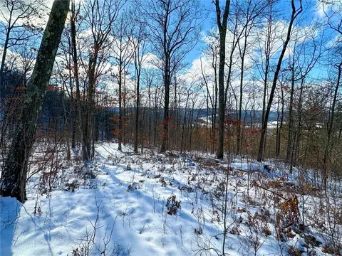 Other - 0 O Brien Rd N, Bath, NY 14879 photo 20 of 31
