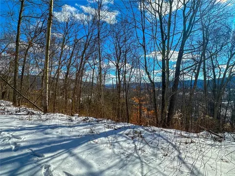 Other - 0 O Brien Rd N, Bath, NY 14879 photo 13 of 31