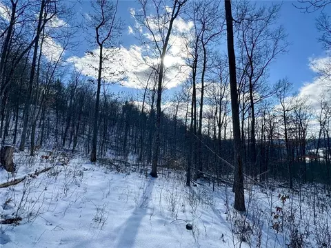 Other - 0 O Brien Rd N, Bath, NY 14879 photo 15 of 31