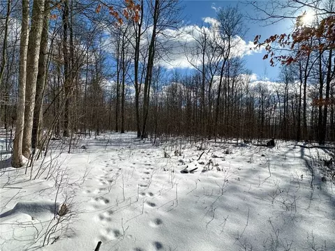 Exterior - 0 O Brien Rd N, Bath, NY 14879 photo 5 of 6