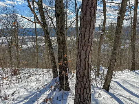 View/Area - 0 O Brien Rd N, Bath, NY 14879 photo 5 of 7