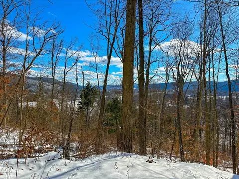 Other - 0 O Brien Rd N, Bath, NY 14879 photo 16 of 31