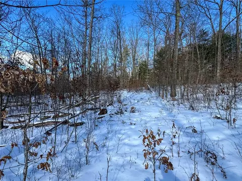 Other - 0 O Brien Rd N, Bath, NY 14879 photo 19 of 31