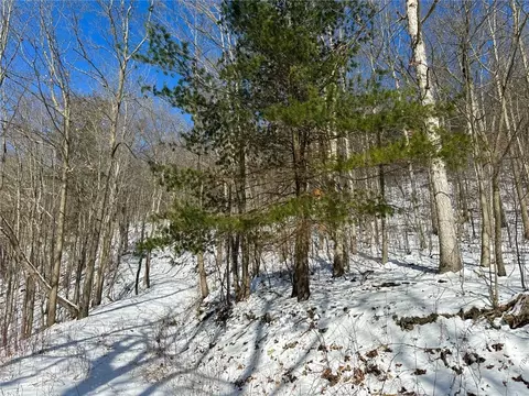 Other - 0 O Brien Rd N, Bath, NY 14879 photo 14 of 31