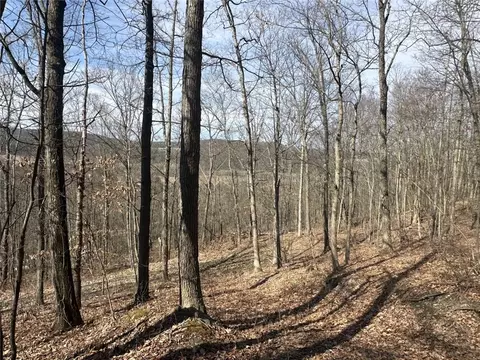 View/Area - 0 O Brien Rd N, Bath, NY 14879 photo 1 of 7
