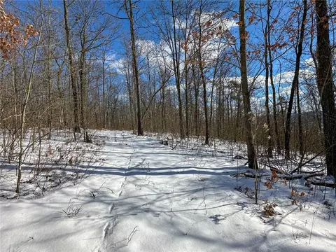 Other - 0 O Brien Rd N, Bath, NY 14879 photo 17 of 31