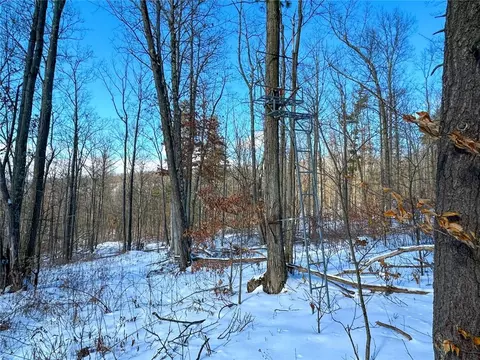 Other - 0 O Brien Rd N, Bath, NY 14879 photo 10 of 31