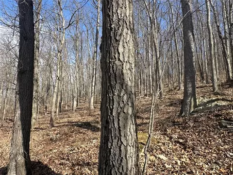 Other - 0 O Brien Rd N, Bath, NY 14879 photo 6 of 31