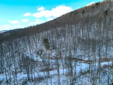 View/Area - 0 O Brien Rd N, Bath, NY 14879 photo 7 of 7