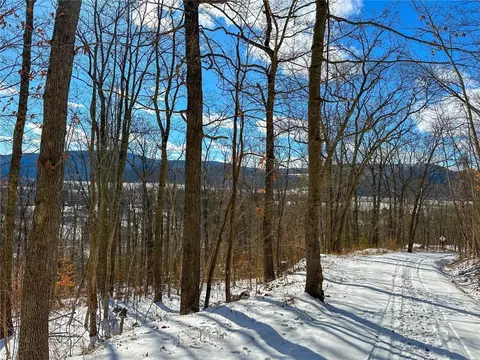 Other - 0 O Brien Rd N, Bath, NY 14879 photo 9 of 31