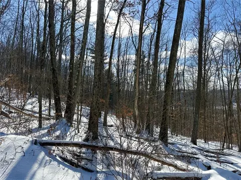 Other - 0 O Brien Rd N, Bath, NY 14879 photo 30 of 31