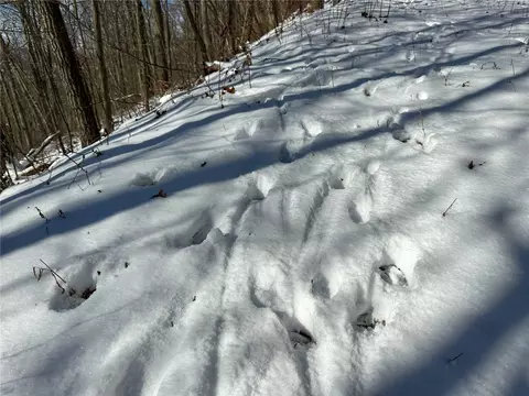 Other - 0 O Brien Rd N, Bath, NY 14879 photo 11 of 31