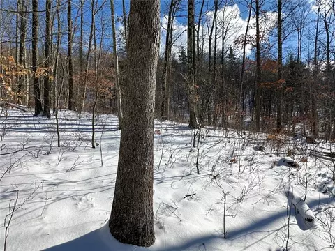 Exterior - 0 O Brien Rd N, Bath, NY 14879 photo 6 of 6