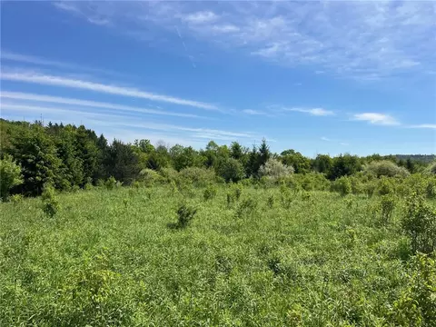0 Fair View Rd, Centerville, NY 14060 photo 4