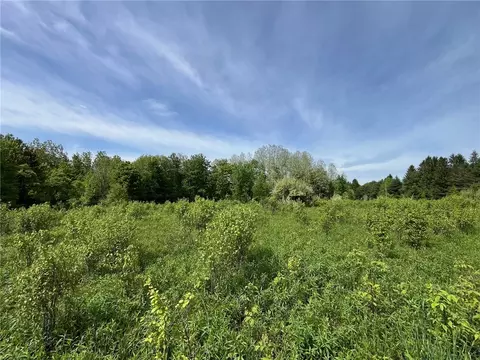 0 Fair View Rd, Centerville, NY 14060 photo 6