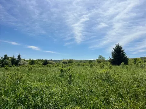 0 Fair View Rd, Centerville, NY 14060 photo 2