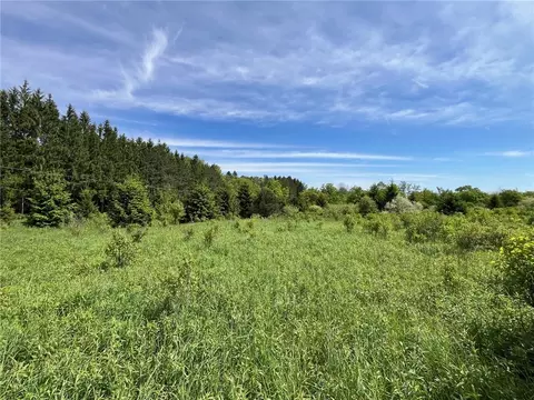 0 Fair View Rd, Centerville, NY 14060 photo 8